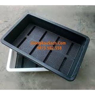 5 khay trồng rau sạch kích thước 68x42x15