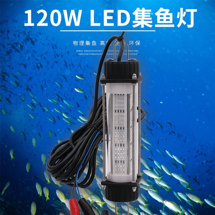 Đèn LED Mồi Câu Cá Ban Đêm Hình Mực Chống Nước