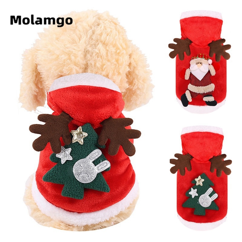 Trang phục Giáng Sinh dễ thương cho thú cưng