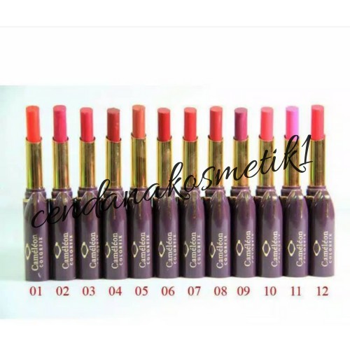 (Hàng Mới Về) Son Môi Lạc Đà Màu Sắc Tươi Tắn Quyến Rũ Cho Nữ