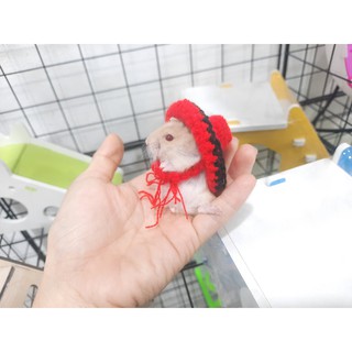 Nón Hamster Nhiều Mẫu - 10k trở lên