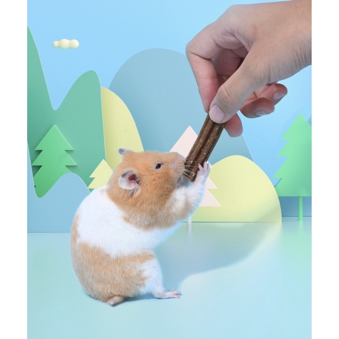 Que mài răng ngũ cốc cho hamster. Mài răng Yee