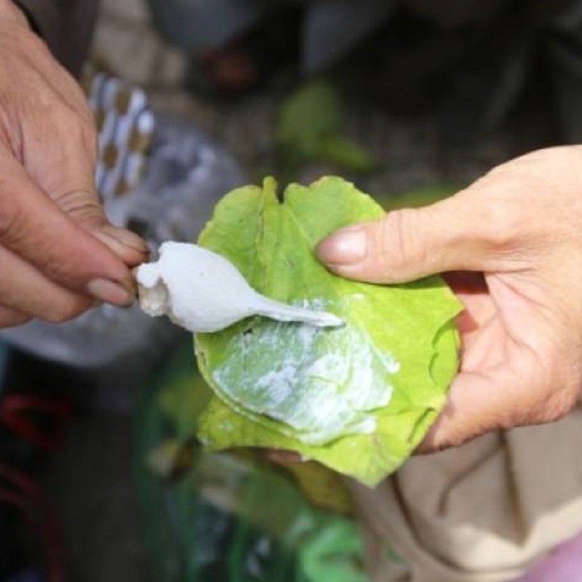 1KG - Vôi Cục, Vôi Củ, Vôi Sống Làm Mứt Tết, Ăn Trầu, Khử Chua, Khử Khuẩn