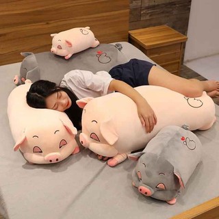 GẤU BÔNG HEO LƯỜI CAO CẤP