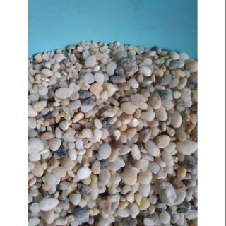 Sỏi đá tự nhiên cho khách sỉ