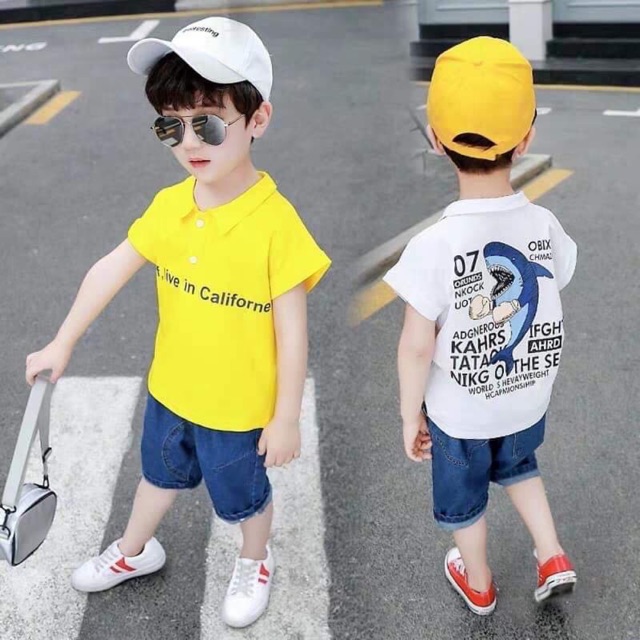 Combo 3 ri áo cá mập