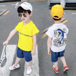 Combo 3 ri áo cá mập