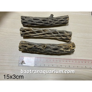 Lũa cholla cho tép cảnh (size 15x3cm)