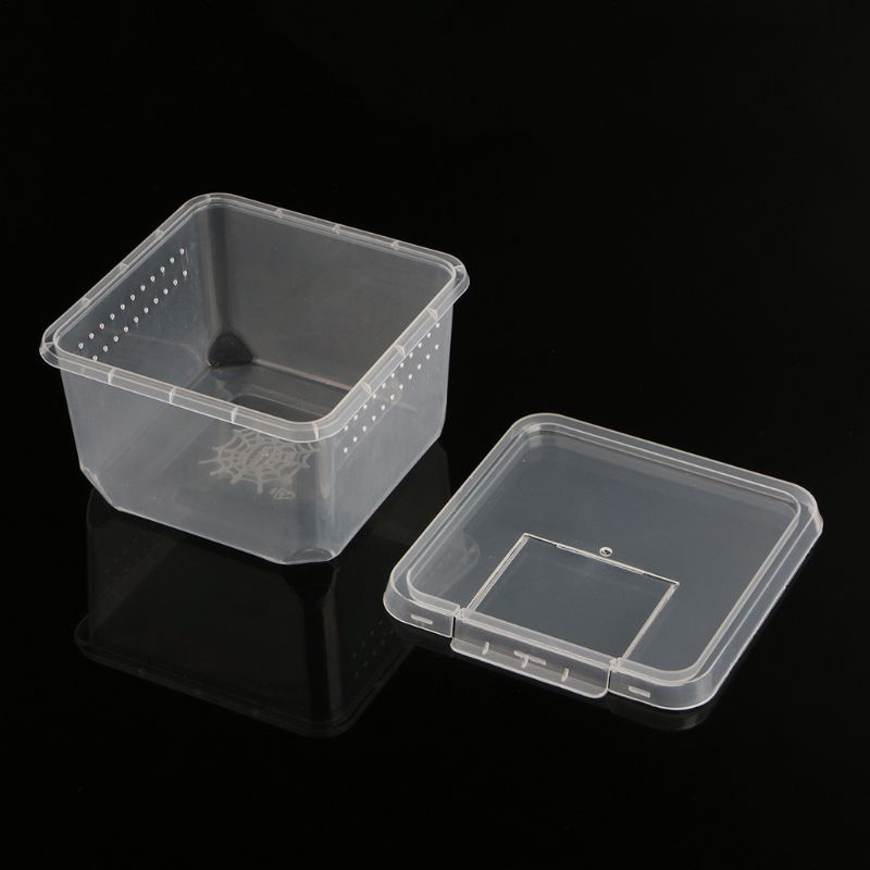 Hộp Đựng Thức Ăn Cho Bò Sát 4 7X4 7X3