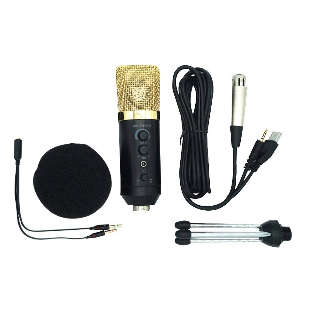 [Mã ELHACE giảm 4% đơn 300K] Micro karaoke cho điện thoại và máy tính MK F400TL