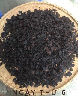 HÀ THỦ Ô ĐỎ CHẾ ĐỖ ĐEN