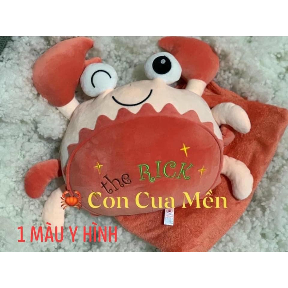 GẤU BÔNG HÌNH CUA 3 TRONG 1  HÀNG CAO CẤP