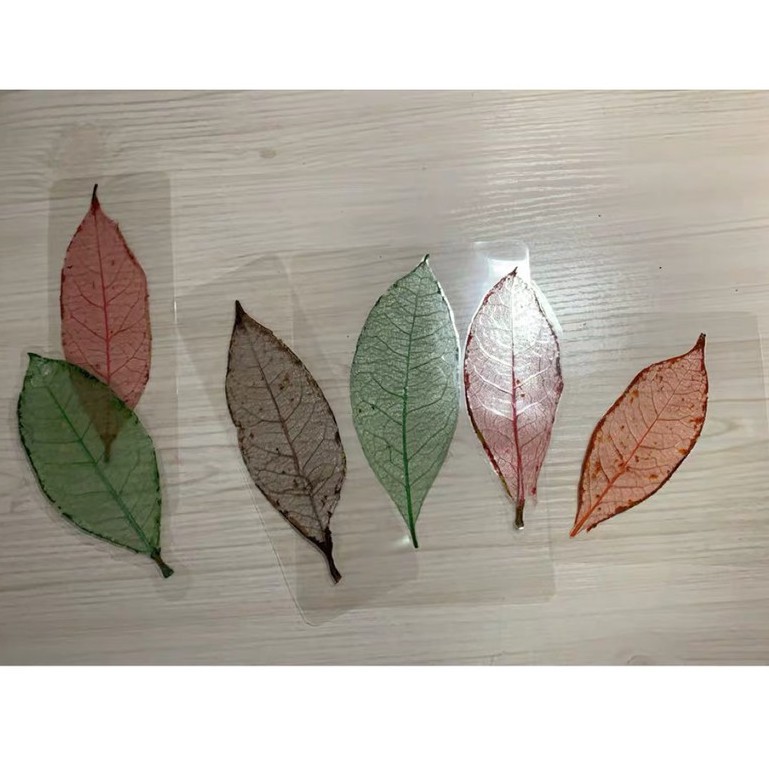 Máy ép nhiệt plastic Deli khổ A4 ép ảnh ép giấy tờ ép thẻ học flashcards, học liệu cho bé máy ép mini văn phòng gia đình