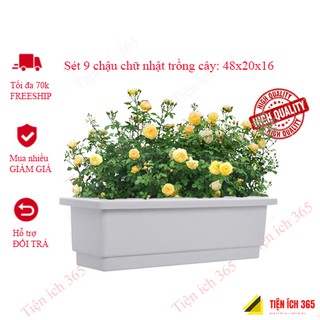 Set 9 chậu trồng cây chữ nhật dài 48 rộng 20 cao 16 .