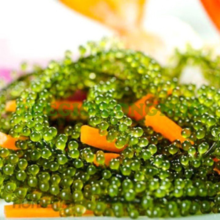 Rong nho tách nước Sea Việt hộp 220g 11 ngâm nở ra rong nho tươi ăn cực giòn ngon thanh mát | BigBuy360 - bigbuy360.vn