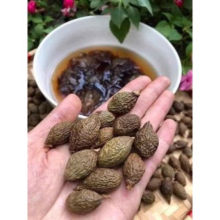 Hạt ươi rừng