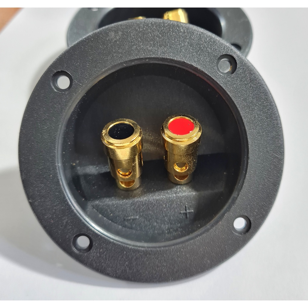 01 cái trạm loa dạng nhấn hình tròn, hình chữ nhật, hậu loa, cọc loa