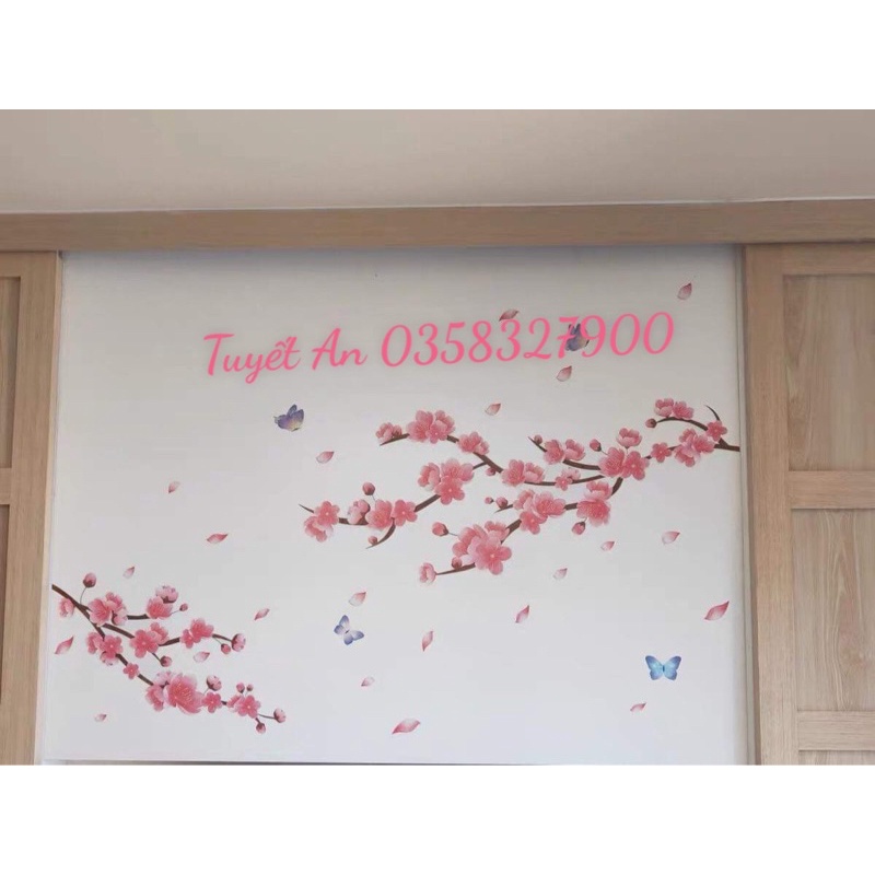 Decal Dán Tường hoa Anh Đào 2 nhánh  Kèm ảnh thật khách dán