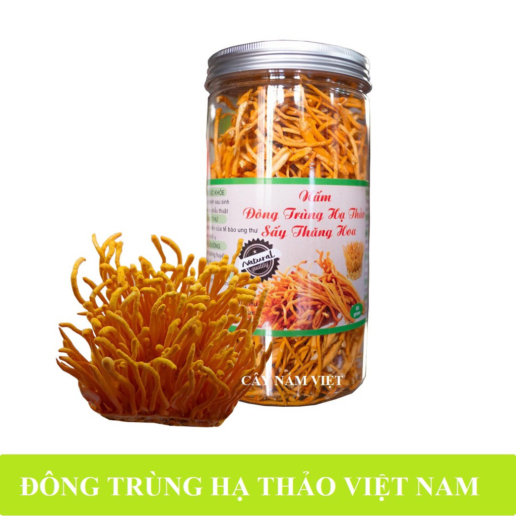 50g Đông Trùng Hạ Thảo khô sấy thăng hoa - Cây Nấm Việt