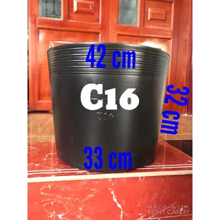 chậu nhựa trồng câu C16 dầy dặn