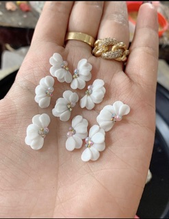 Hoa bột cánh nhọn
