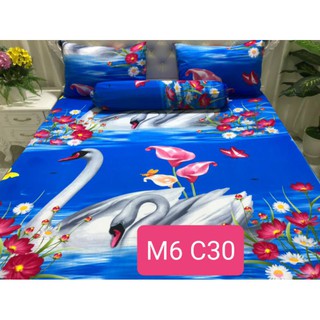 bộ thun hàn quốc m6*2m cao 30cm