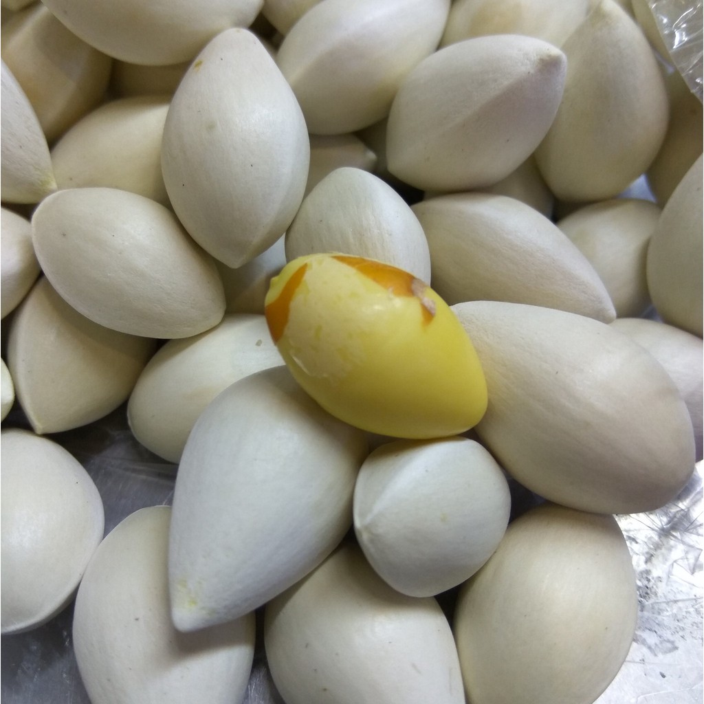 500g hạt bạch quả tươi bóc vỏ - ship hoả tốc HCM