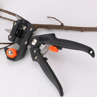 Dụng cụ cắt ghép cành cây