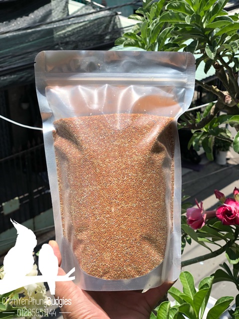 HẠT KÊ ĐỎ CHUẨN GÒ CÔNG cho yến phụng, lovebird, vẹt các loại.. (túi 1KG)