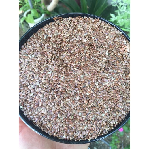 Hạt lanh nâu cho chim finch, yến hót, vẹt, cu gáy, 7 màu, yến phụng bị 1kg