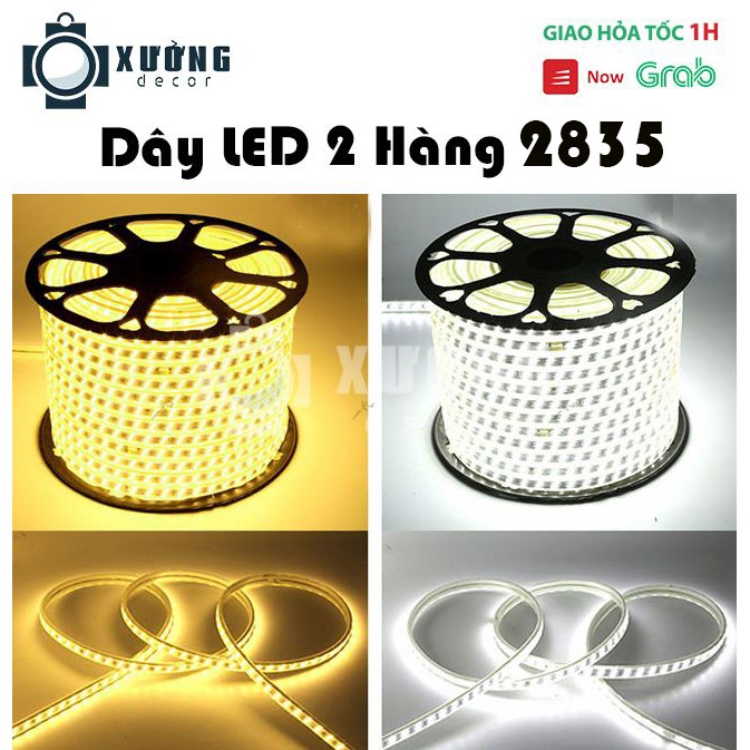 Đèn LED Dây 2 hàng 2835 trang trí TẾT, cuốn cây, hắt trần Siêu Đẹp, Siêu Bền  ( bán theo mét )