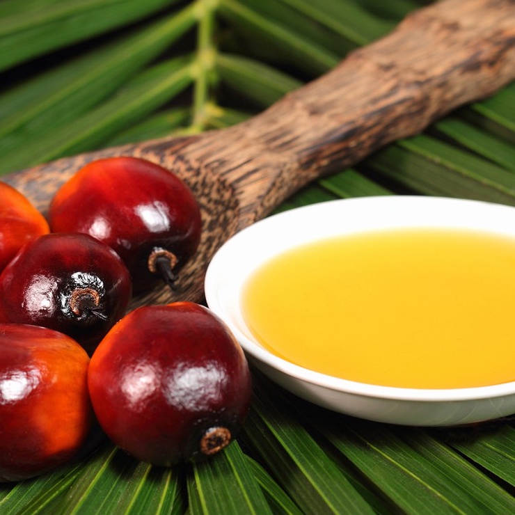 Dầu Cọ