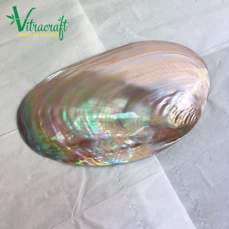 Vỏ Trai Hồng Mài Bóng, Bát Đựng Salad Hoa quả Làm từ Vỏ trai Nước ngọt Tự Nhiên Size 17-18cm