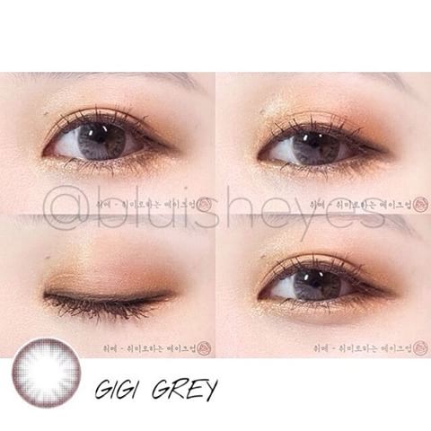 Lens Vassen Hàn Quốc -GiGi GRAY