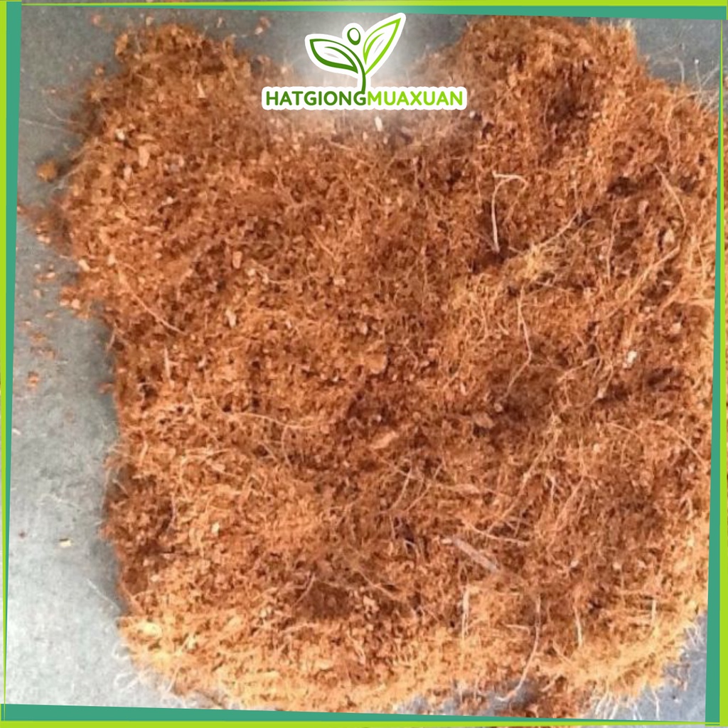 [SIEURE] Mùn Dừa - 200gr Xơ dừa trồng bẫy kẹp/nắp ấm - Giá thể trồng cây hàng đẹp, phân phối chuyên nghiệp.
