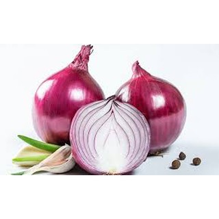 100 hạt giống hành tây tím