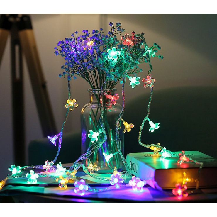 Dây Đèn Trang Trí Dài 4m Hình Hoa Mai Chớp Nhiều Màu | Shopee Việt Nam