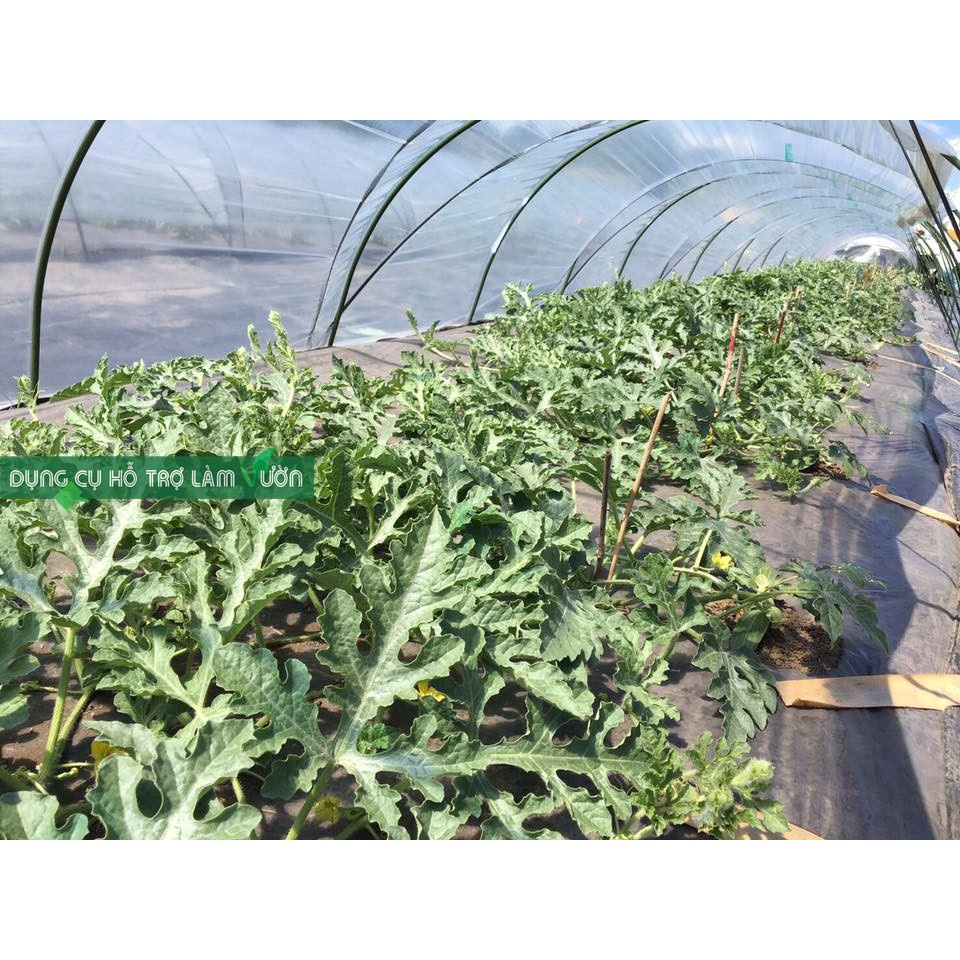 Bộ khung vòm trồng rau cao 90cm rộng 110cm,  gồm khung vòm cung lưới chắn côn trùng kẹp giữ màng