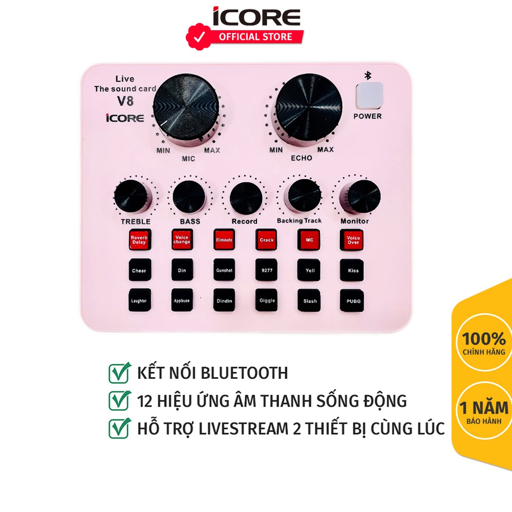 Bộ chỉnh âm chuyên nghiệp iCore V8