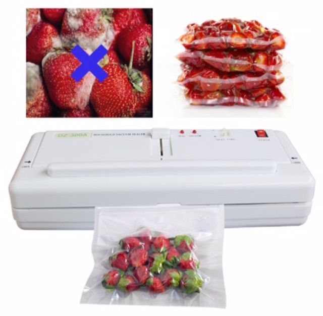 MÁY HÚT CHÂN KHÔNG P280