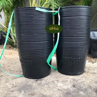 Combo 100 chậu nhựa đen C10 (25x20 cm) trồng cây