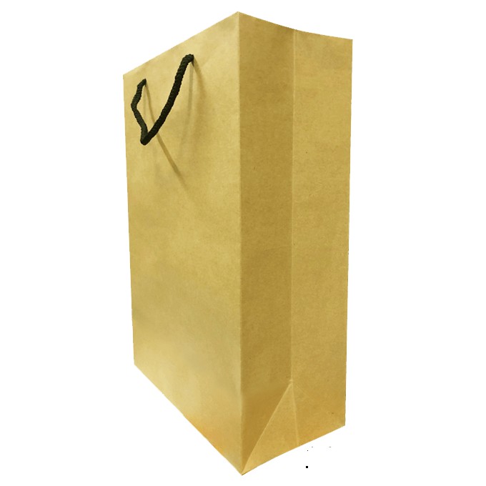Combo 100 Túi Kraft trơn KT09  (KT: 30 x 21 x 10 cm)