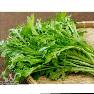 Hạt giống rau tần ô- Rau cải cúc