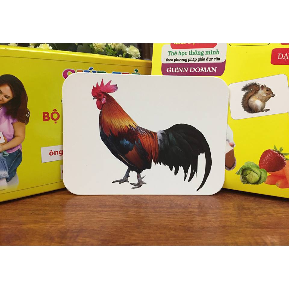 Thẻ học song ngữ FlashCard cho bé trai và bé gái phát triển trí thông minh theo phương pháp Glenn Doman, khuyến mãi