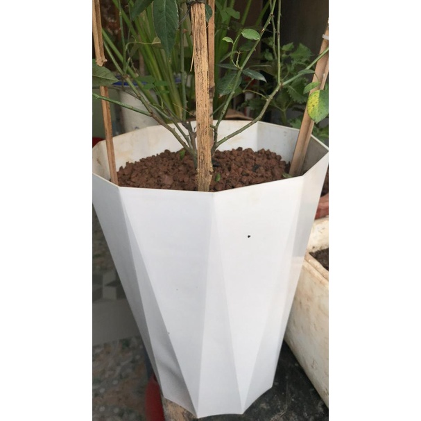 Chậu Nhựa Trồng Cây Song Tâm chậu kim cương cao cấp kèm đĩa lót đầy đủ size