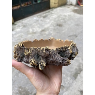 Máng ăn - Máng nước dành cho bò sát