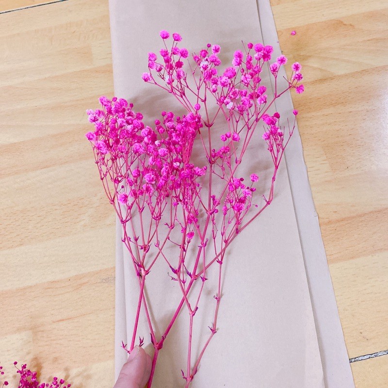 Hoa baby Hồng đậm❤️FREESHIP❤️ Gypsophila hoa khô trang trí phòng ngủ, làm đồ handmade