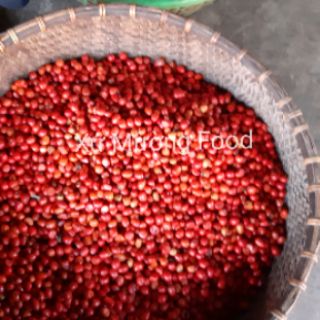 (1kg) Hạt Dổi Nếp Rừng xịn