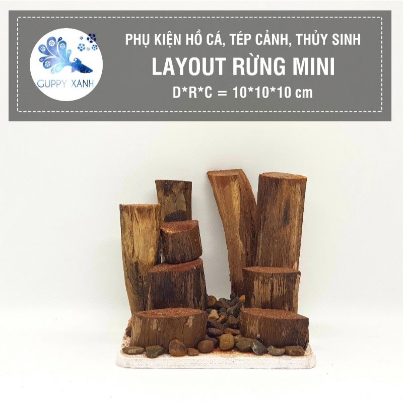 layout thủy sinh rừng mini size 10x10 thích hợp để bàn - lũa layout rừng