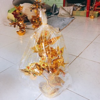 cành vàng lá ngọc